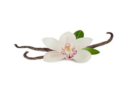Health Benefits and Application Prospects of  Mogroside Extract