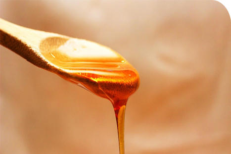 Exploring the Characteristics of Stevia Maple Syrup