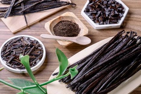 Role of Vanillin in Food: Flavor and Functional Benefits