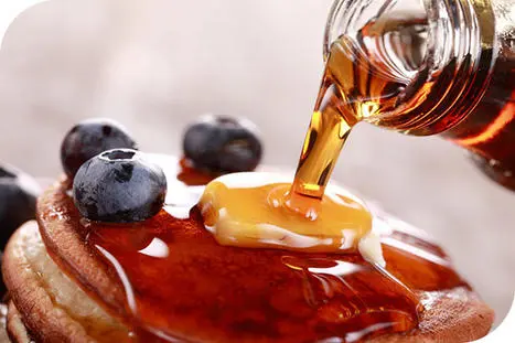 INGIA stevia maple syrup