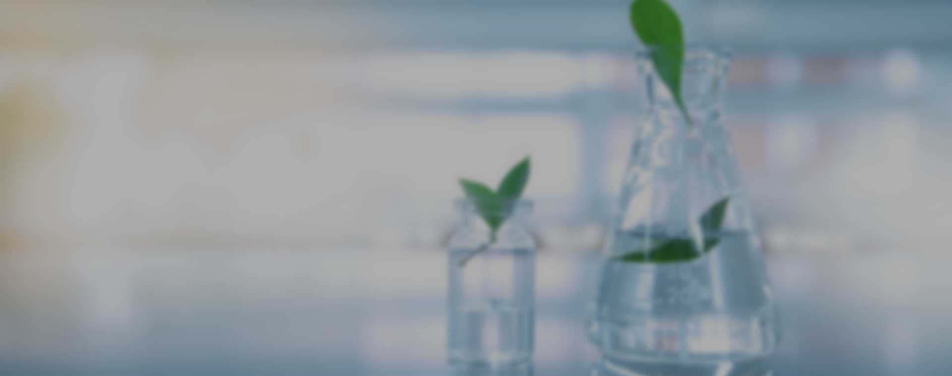 The Application and Performance of Ingvia®M(Steviol Glycoside Reb M) in Condiments