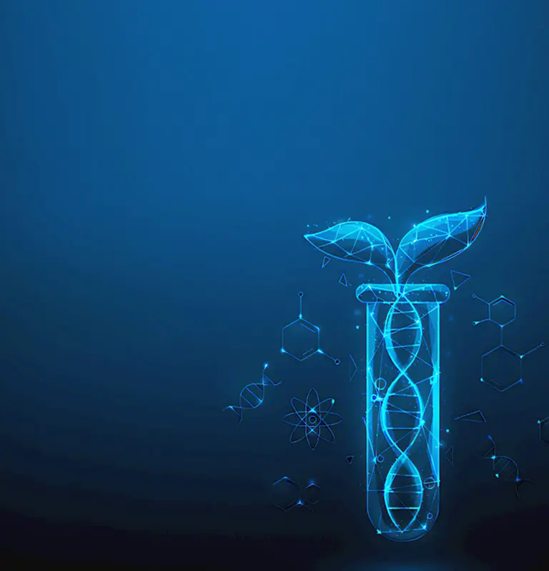 Ingia Bio Natural Sweetener Manufacturer, Stevia Manufacturing Company